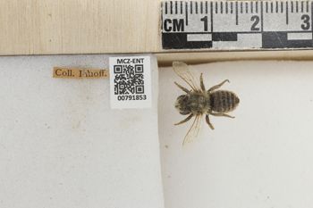 Media type: image;   Entomology 791853 Aspect: Labels